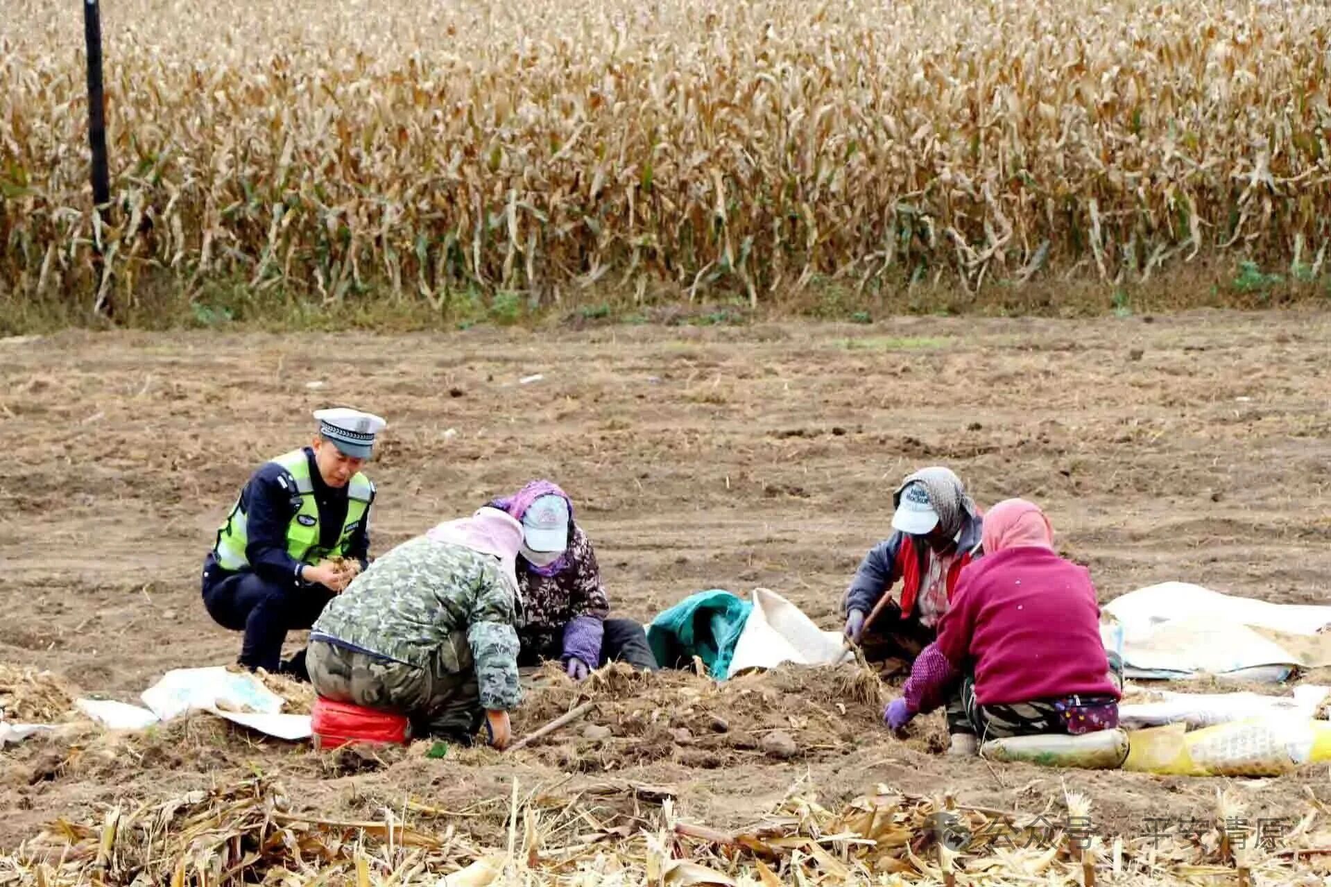“田间课堂”开课啦！ 抚顺公安护航秋收安全路....jpg